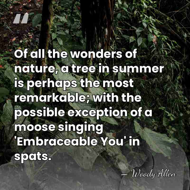 Of all the wonders of nature, a tree in summer is perhaps&hellip; - Woody Allen