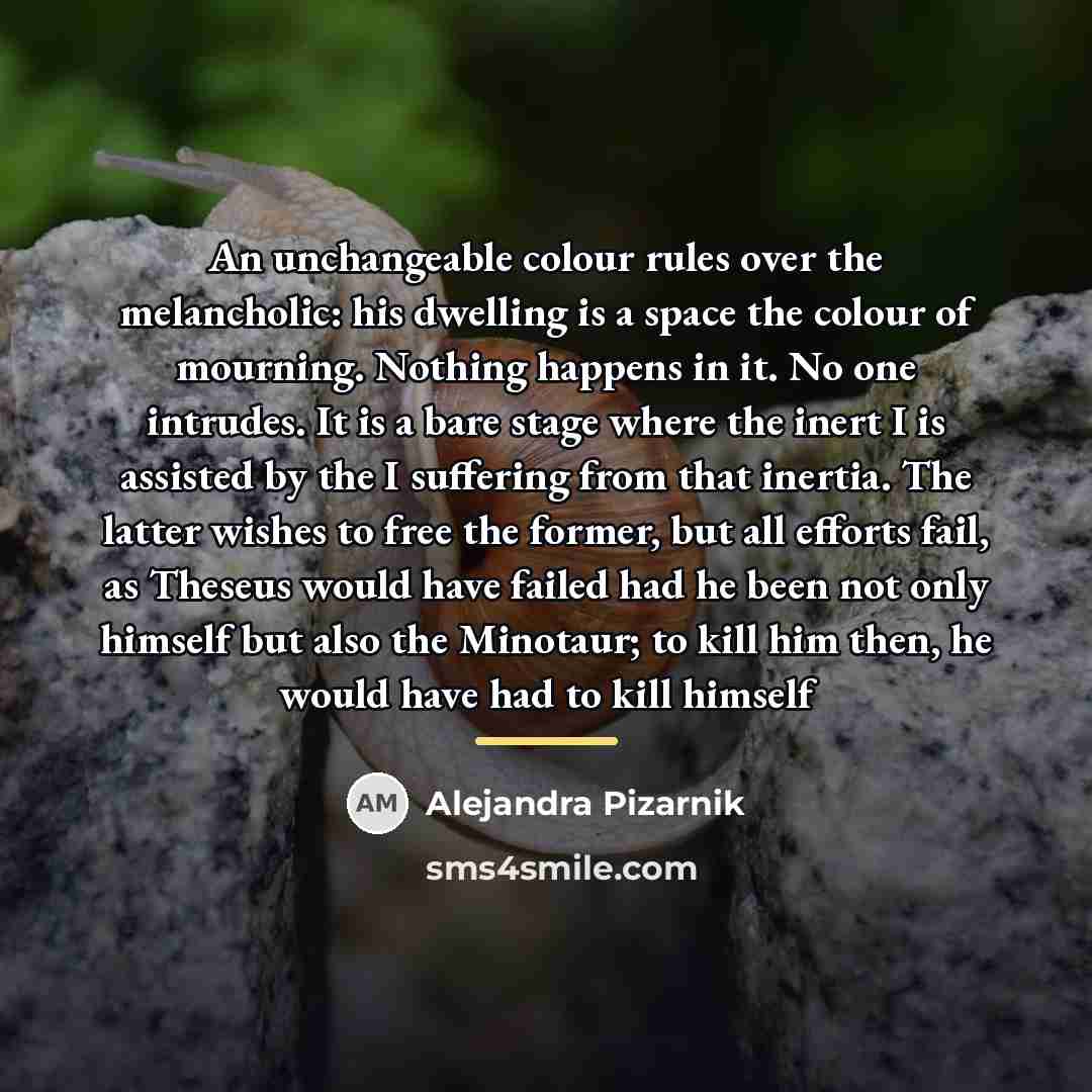 “An unchangeable colour rules over the melancholic: his dwelling is…” quote by Alejandra Pizarnik
