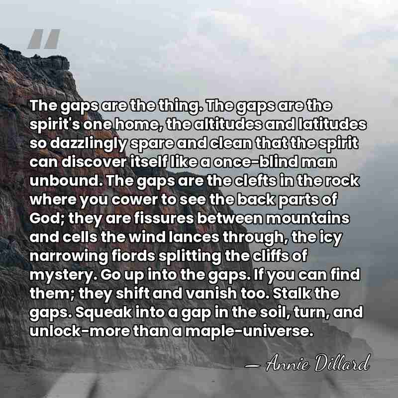 The gaps are the thing. The gaps are the spirit's one home,&hellip; - Annie Dillard