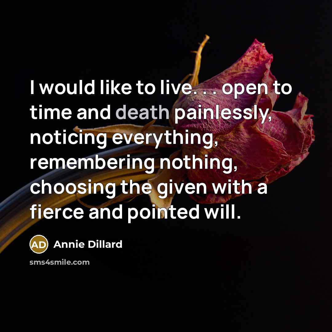 “I would like to live. . . open to time…” quote by Annie Dillard