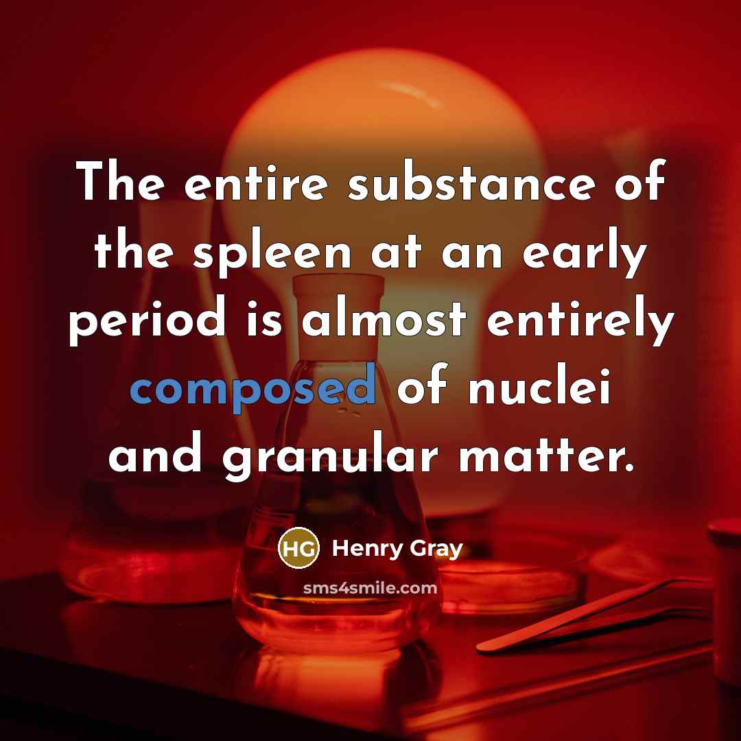 “The entire substance of the spleen at an early period…” quote by Henry Gray