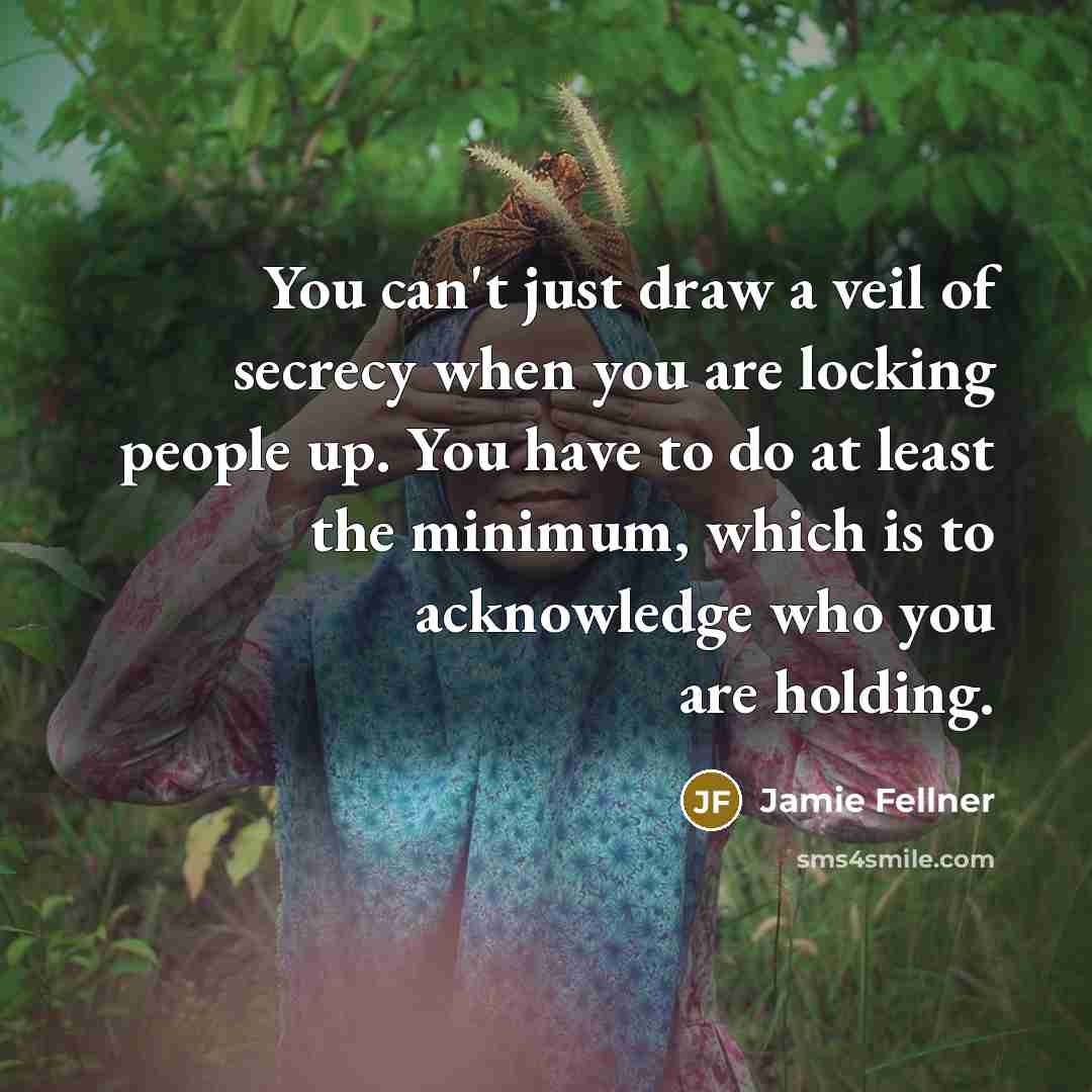 “You can't just draw a veil of secrecy when you…” quote by Jamie Fellner