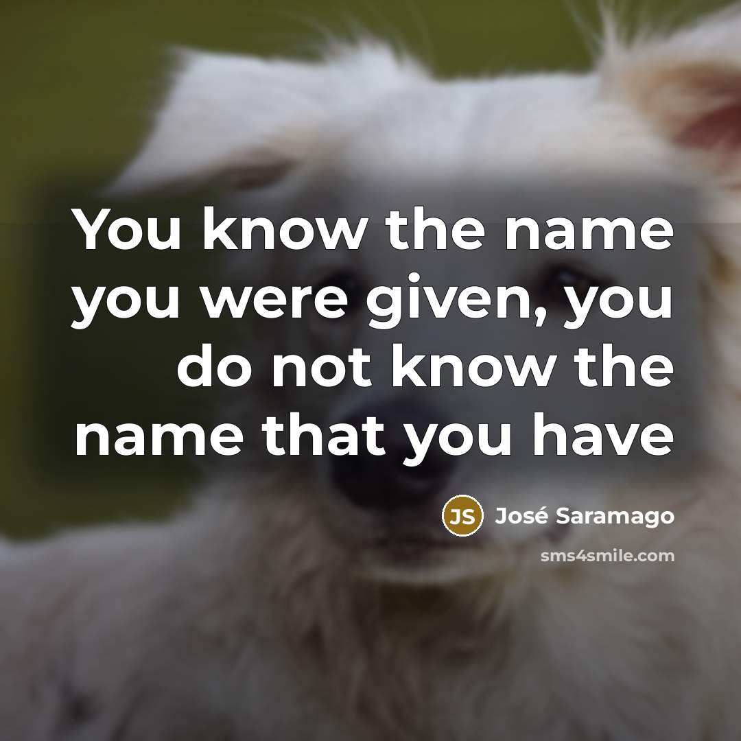 “You know the name you were given, you do not…” quote by Jose Saramago