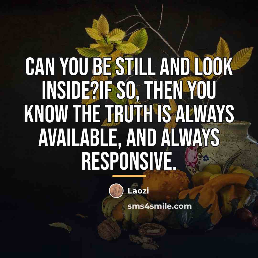 “Can you be still and look inside?If so, then you…” quote by Laozi
