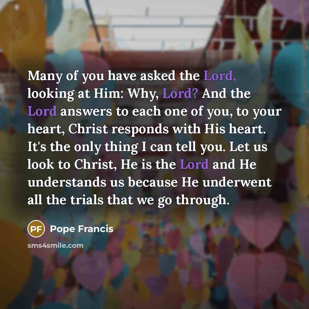 “Many of you have asked the Lord, looking at Him:…” quote by Pope Francis