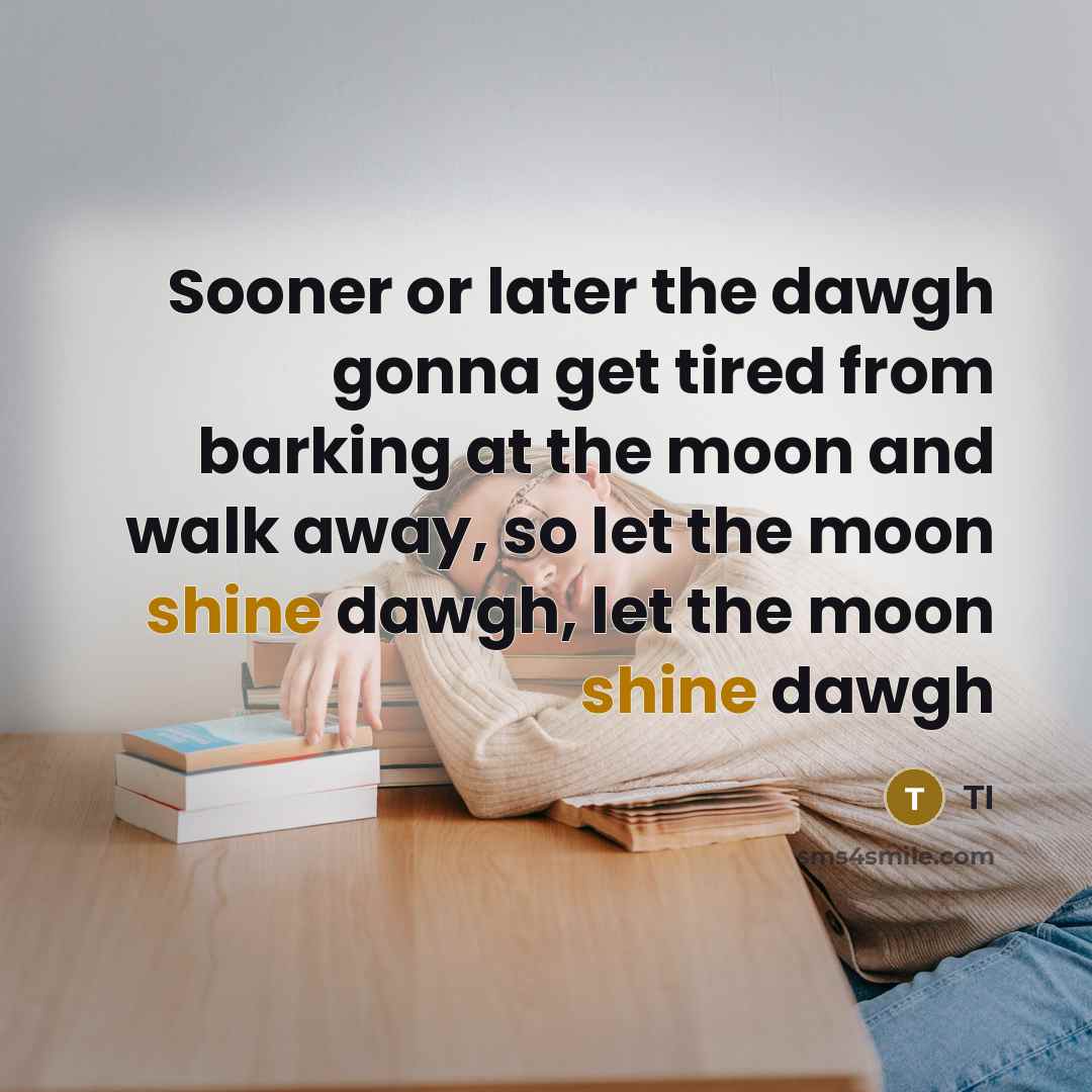 “Sooner or later the dawgh gonna get tired from barking…” quote by TI