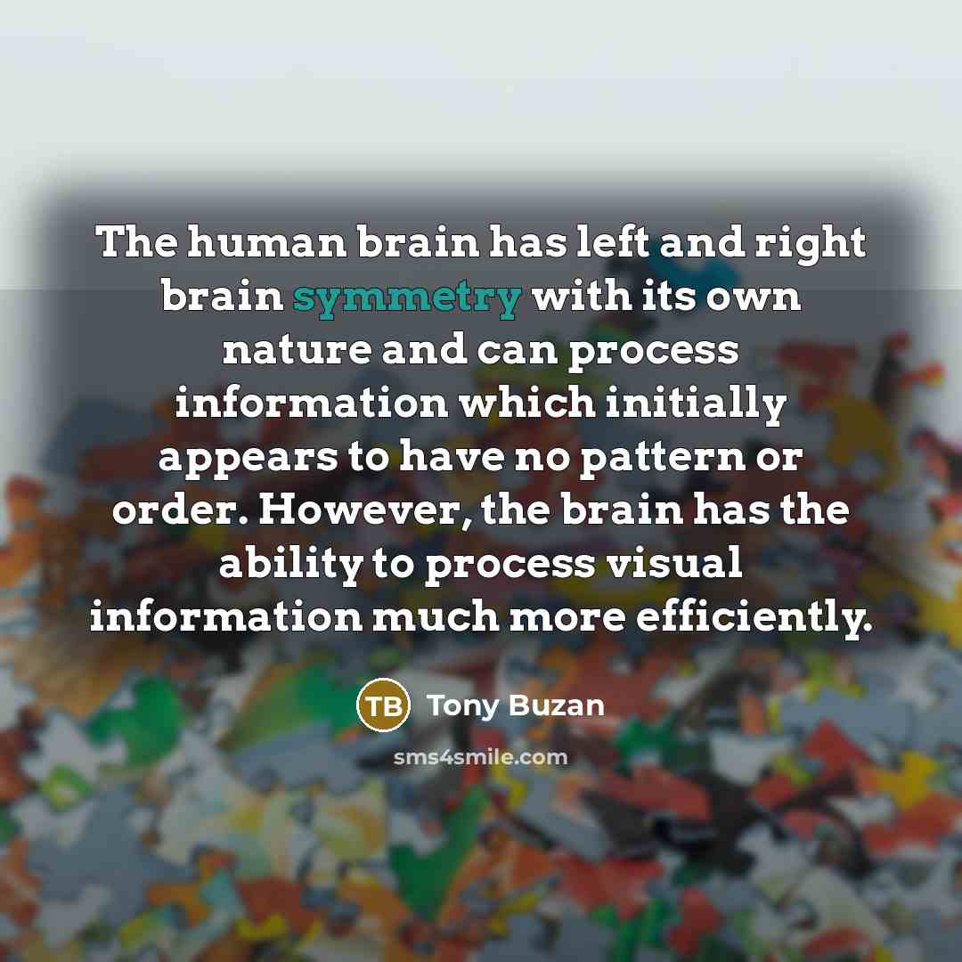 “The human brain has left and right brain symmetry with…” quote by Tony Buzan