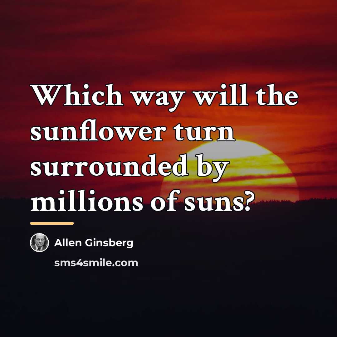 “Which way will the sunflower turn surrounded by millions of…” quote by Allen Ginsberg