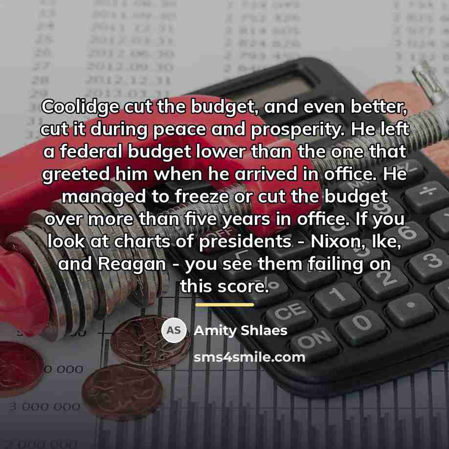 “Coolidge cut the budget, and even better, cut it during…” quote by Amity Shlaes