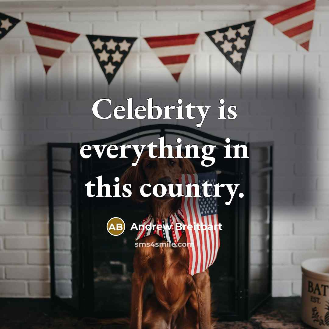 “Celebrity is everything in this country.…” quote by Andrew Breitbart