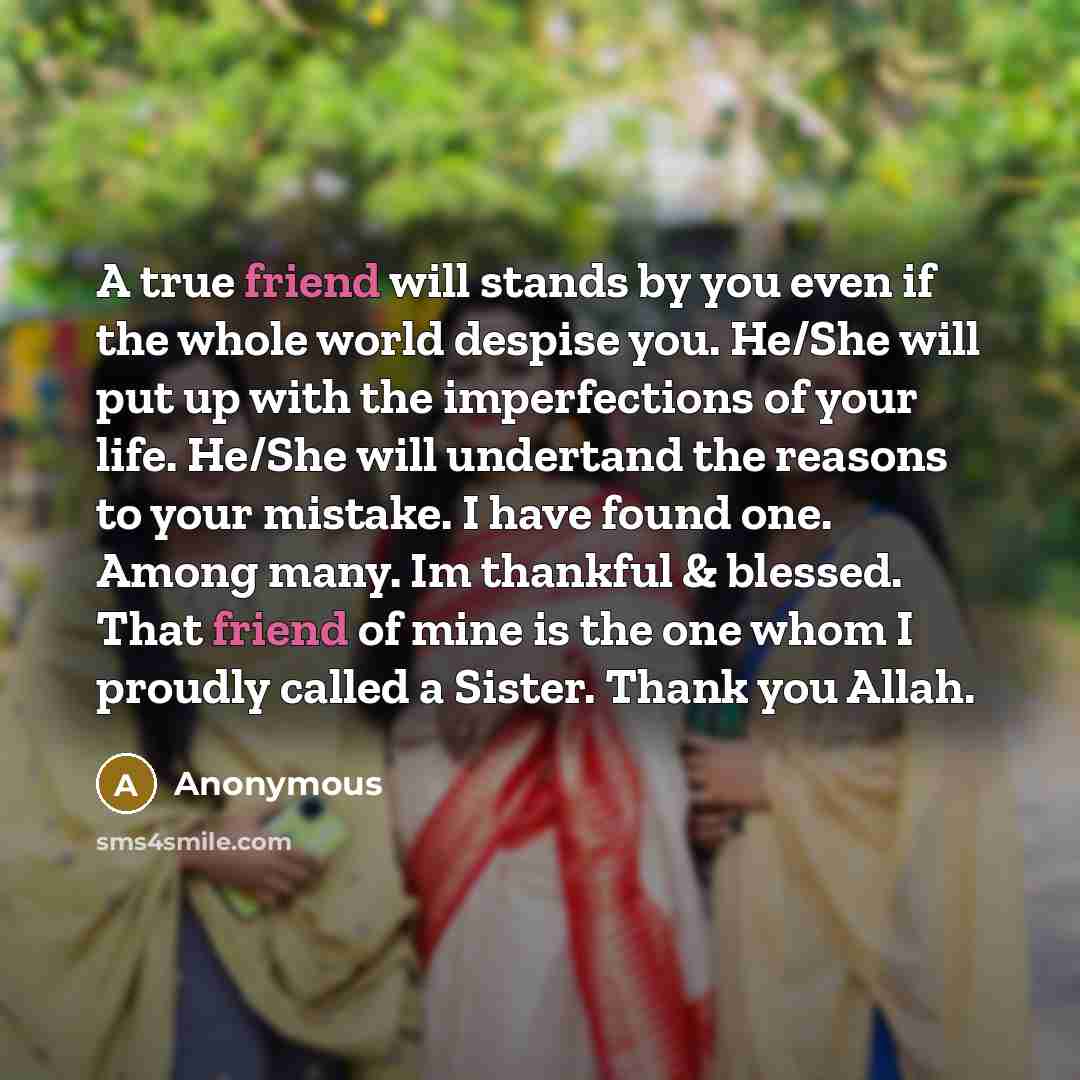 “A true friend will stands by you even if the…” quote by Anonymous