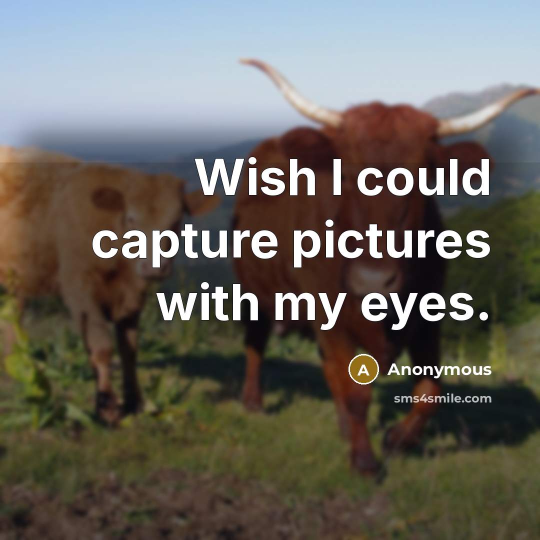 “Wish I could capture pictures with my eyes.…” quote by Anonymous