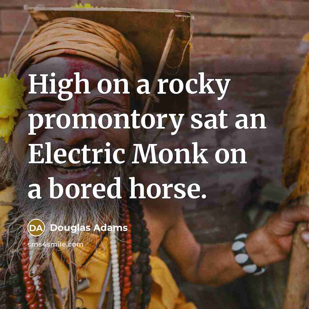 “High on a rocky promontory sat an Electric Monk on…” quote by Douglas Adams
