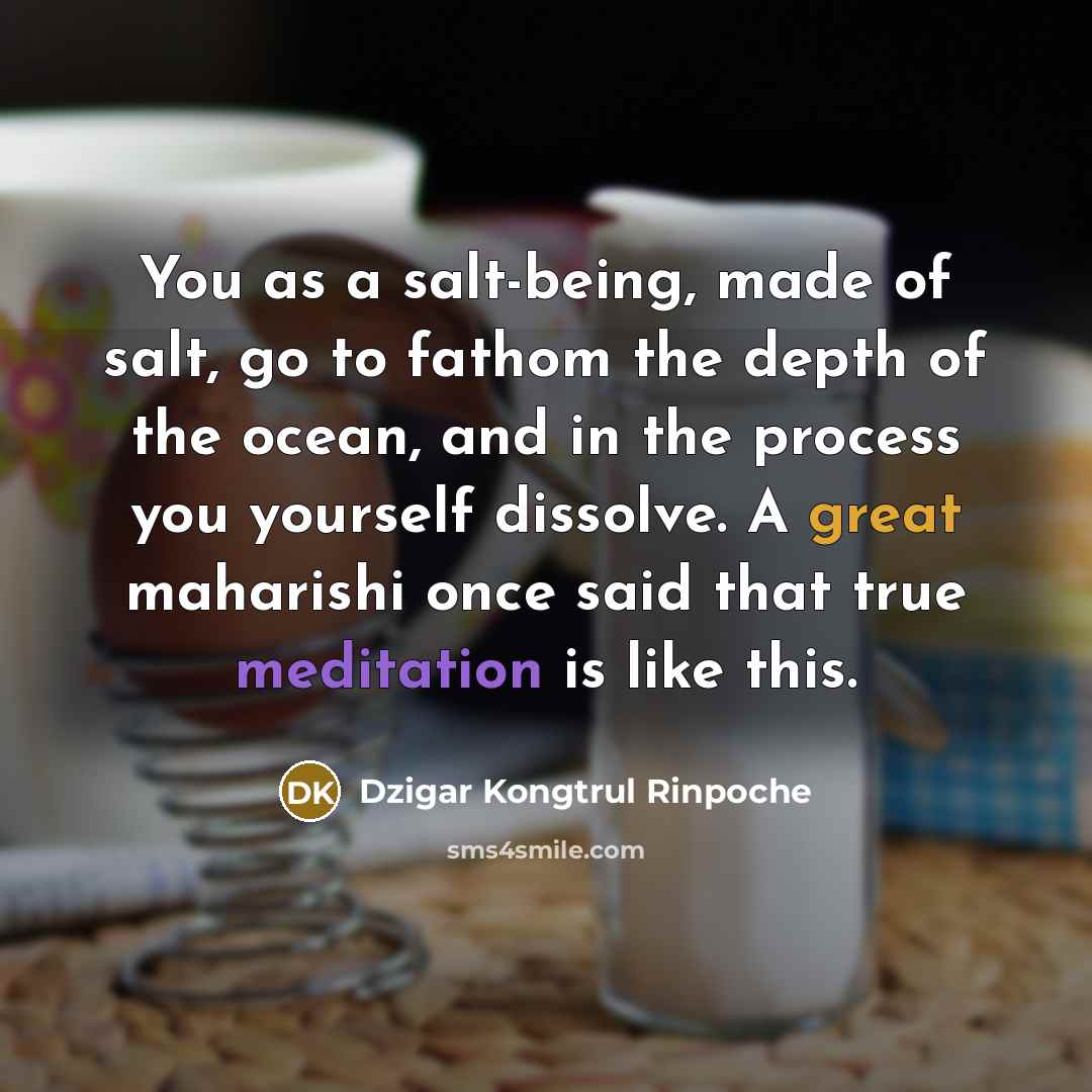 “You as a salt-being, made of salt, go to fathom…” quote by Dzigar Kongtrul Rinpoche