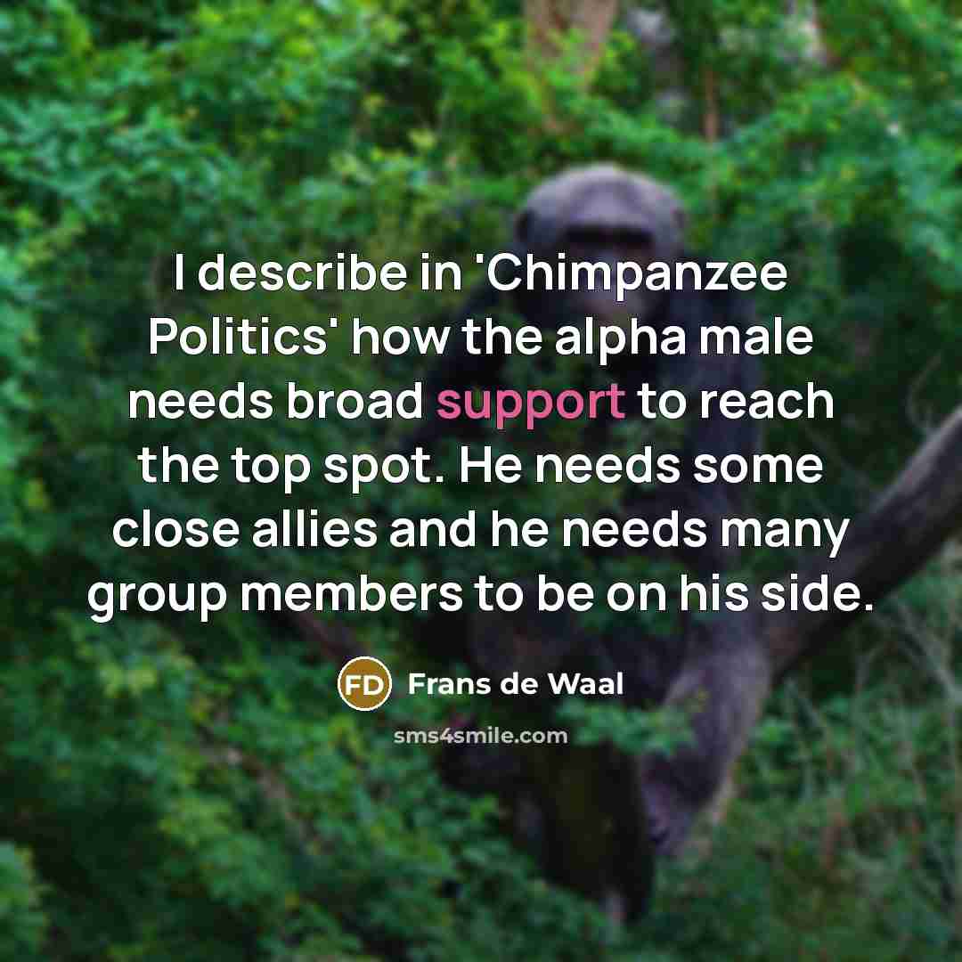 “I describe in 'Chimpanzee Politics' how the alpha male needs…” quote by Frans de Waal