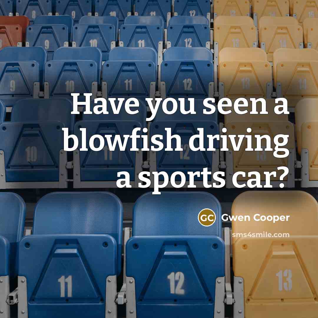 “Have you seen a blowfish driving a sports car?…” quote by Gwen Cooper