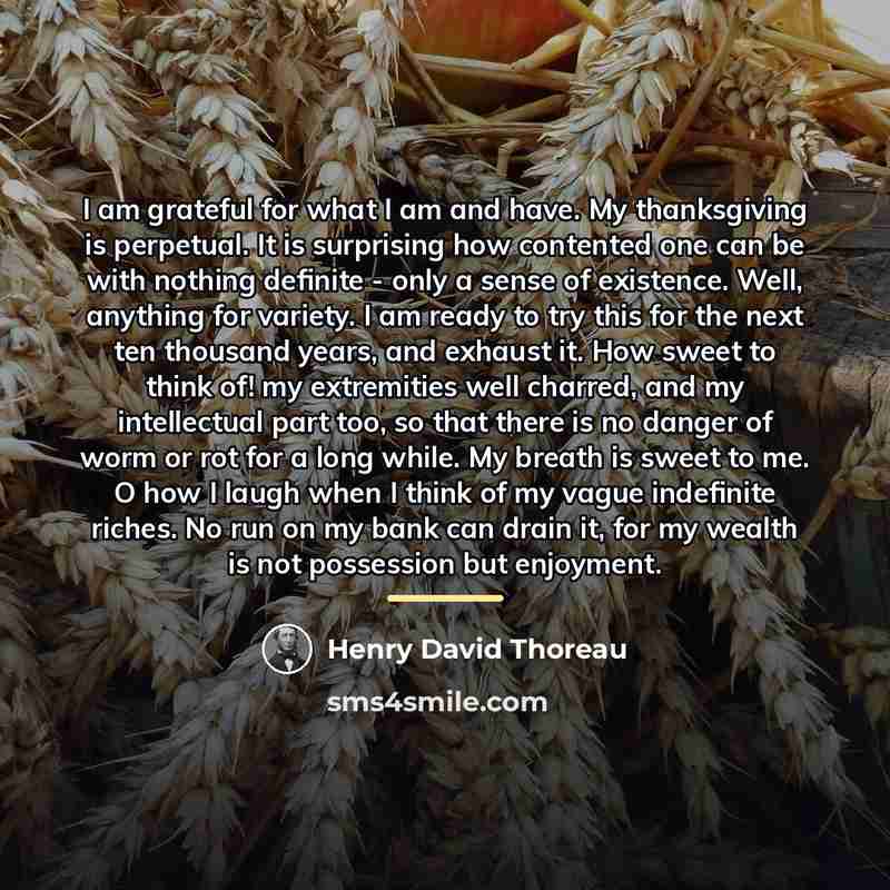 “I am grateful for what I am and have. My…” quote by Henry David Thoreau
