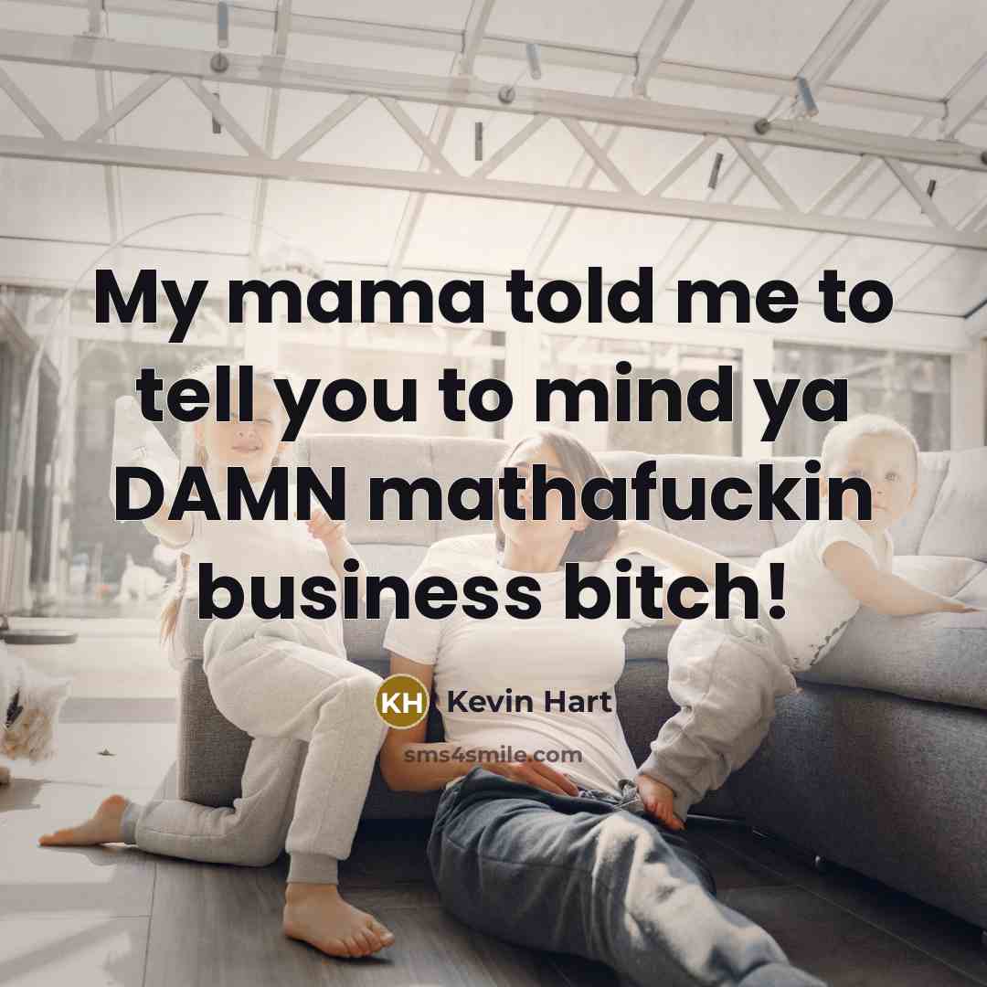 “My mama told me to tell you to mind ya DAMN mathafuckin business bitch!” quote by Kevin Hart