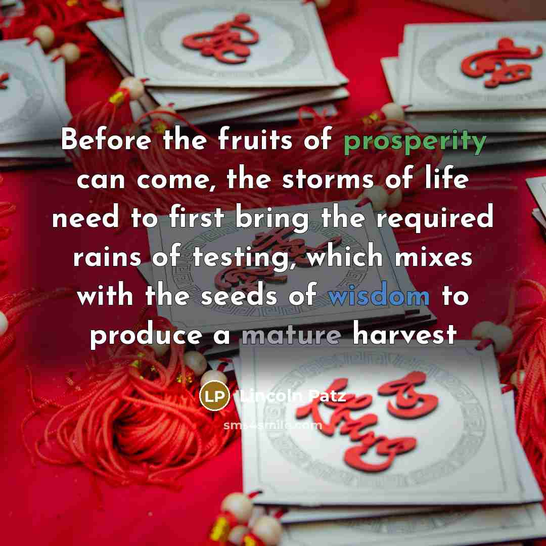 “Before the fruits of prosperity can come, the storms of life need to first bring the required rains of testing, which mixes with the seeds of wisdom to produce a mature harvest” quote by Lincoln Patz