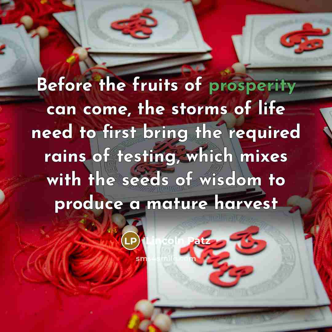“Before the fruits of prosperity can come, the storms of life need to first bring the required rains of testing, which mixes with the seeds of wisdom to produce a mature harvest” quote by Lincoln Patz