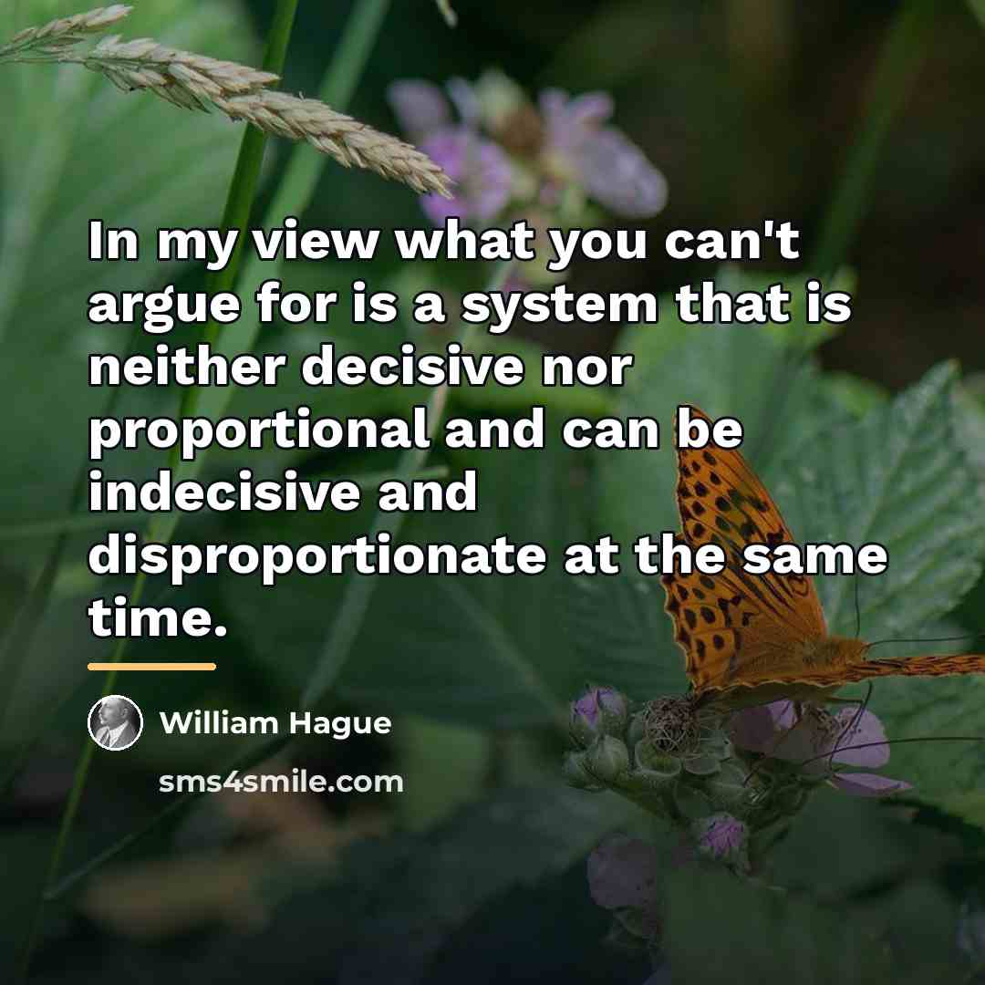 “In my view what you can't argue for is a…” quote by William Hague