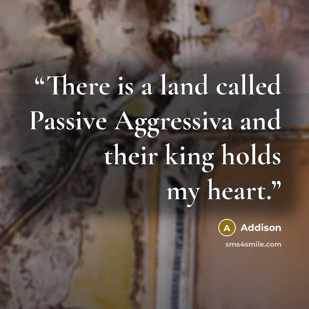 “There is a land called Passive Aggressiva and their king holds my heart.” quote by Addison