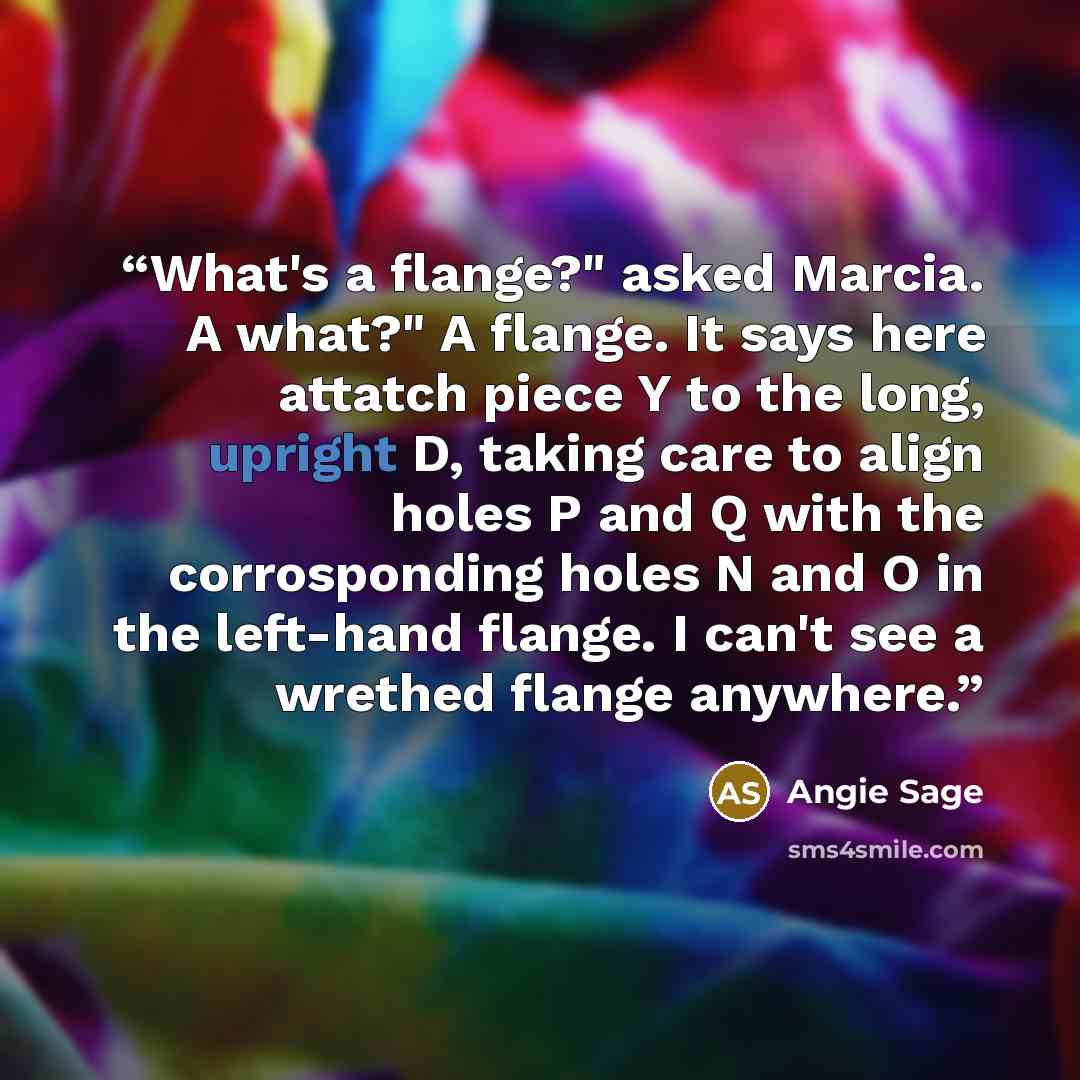 “What's a flange?" asked Marcia. A what?" A flange. It says here attatch piece Y to the long, upright D, taking care to align holes P and Q with the corrosponding holes N and O in the left-hand flange. I can't see a wrethed flange anywhere.” quote by Angie Sage