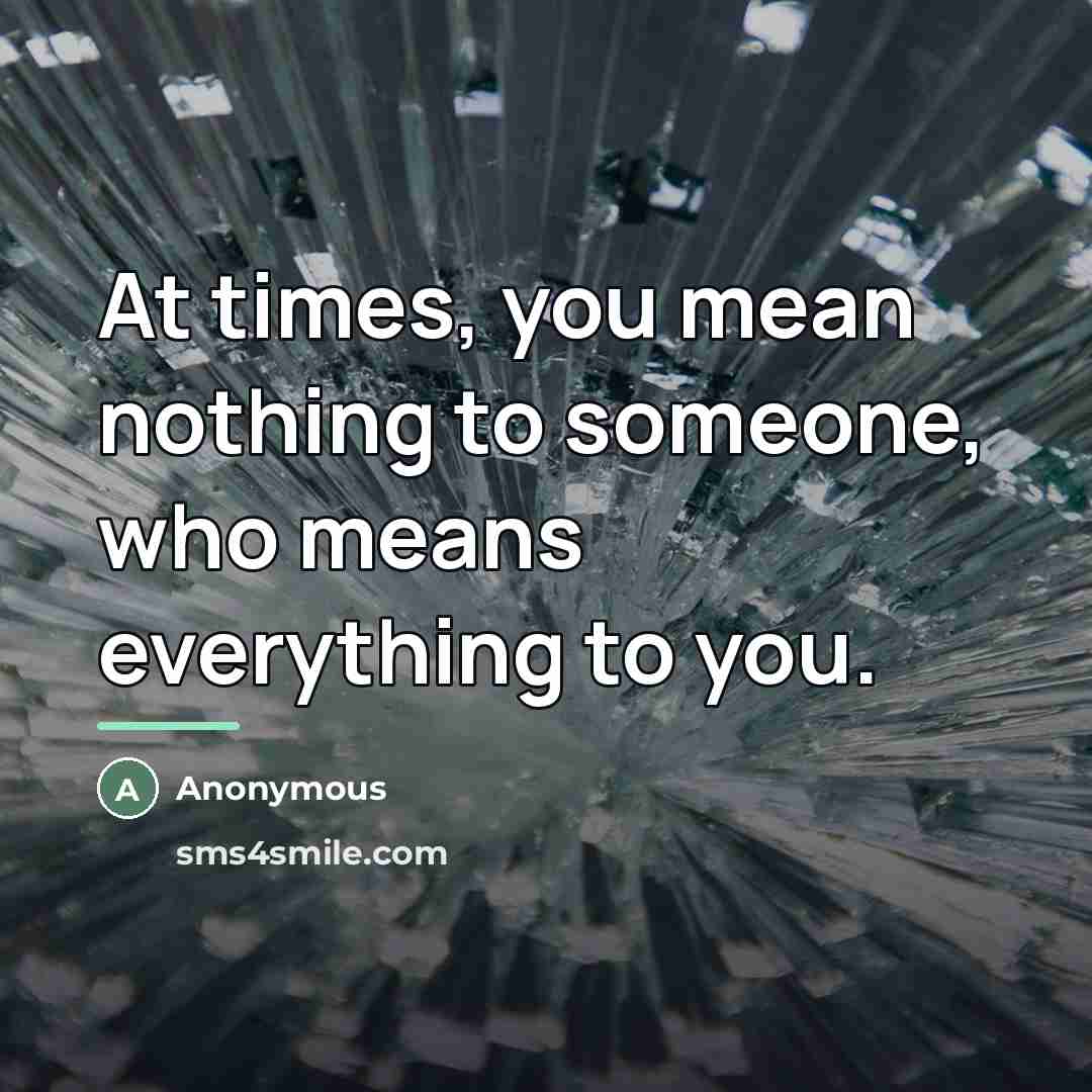 “At times, you mean nothing to someone, who means everything…” quote by Anonymous