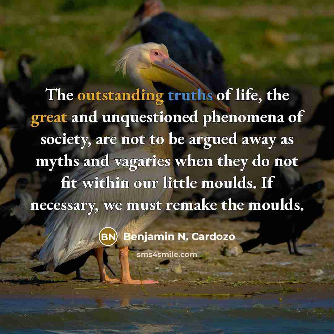“The outstanding truths of life, the great and unquestioned phenomena…” quote by Benjamin N. Cardozo