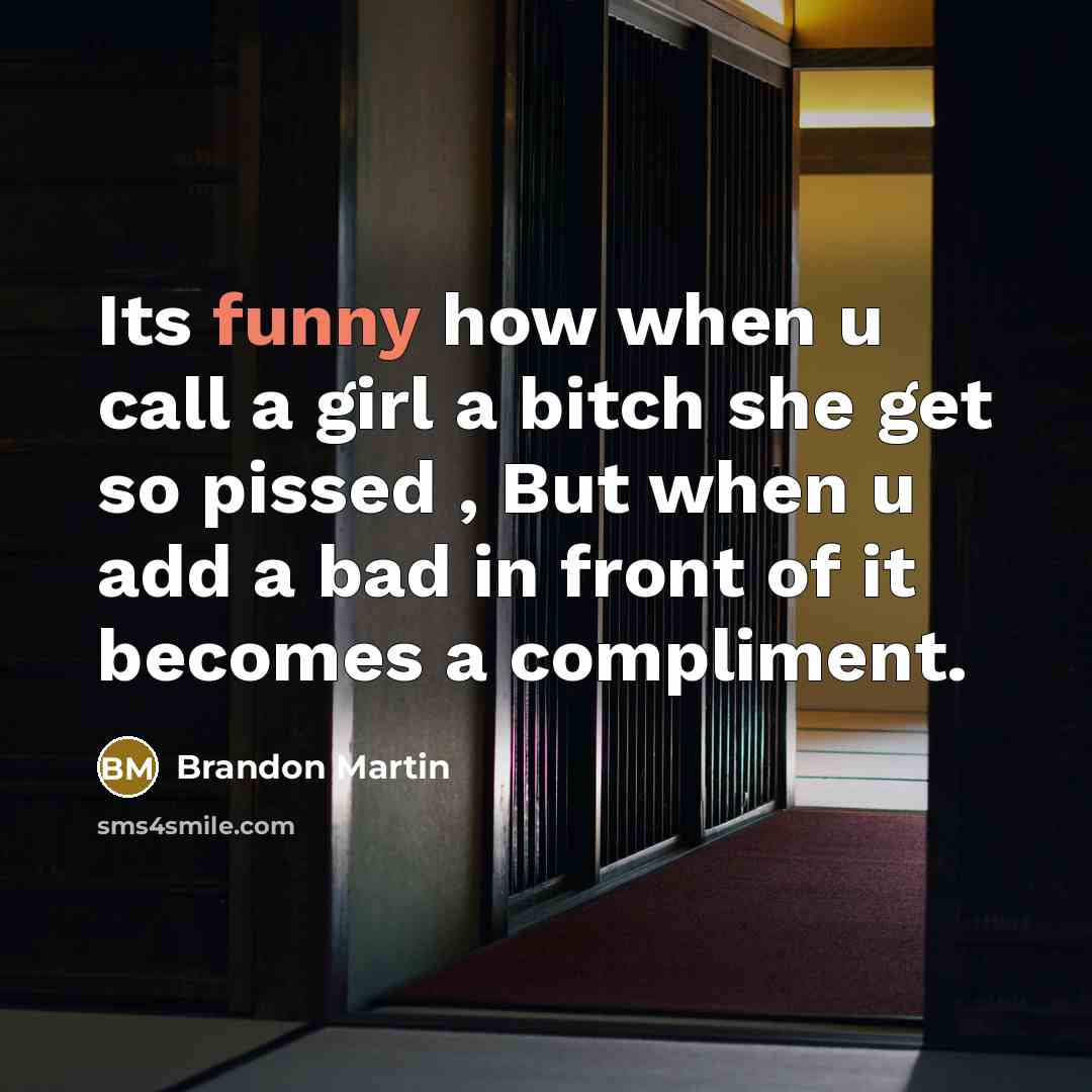 “Its funny how when u call a girl a bitch she get so pissed , But when u add a bad in front of it becomes a compliment.” quote by Brandon Martin