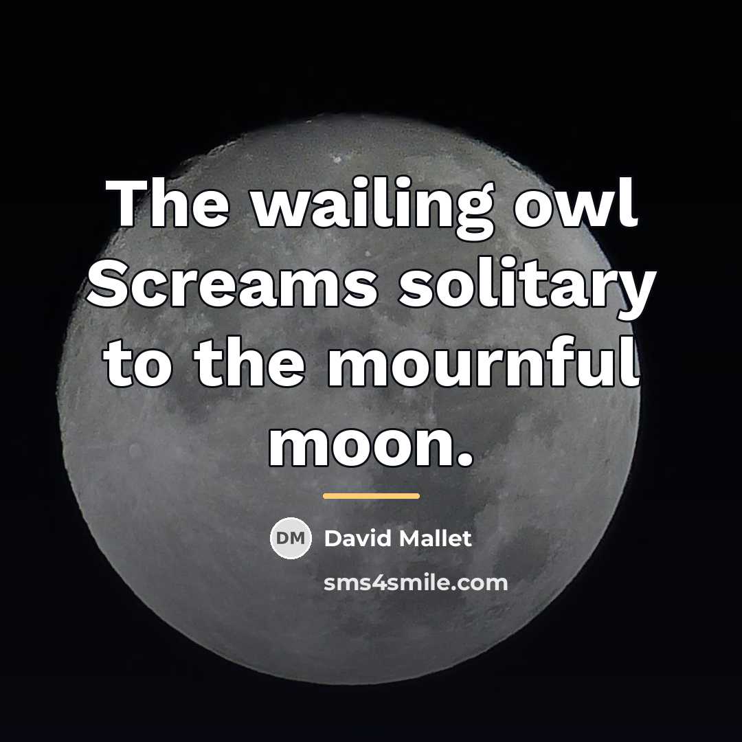 “The wailing owl Screams solitary to the mournful moon.…” quote by David Mallet