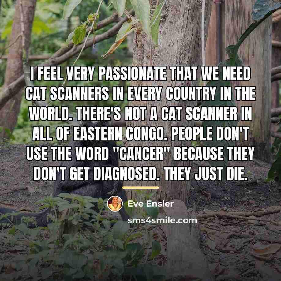 “I feel very passionate that we need CAT scanners in…” quote by Eve Ensler