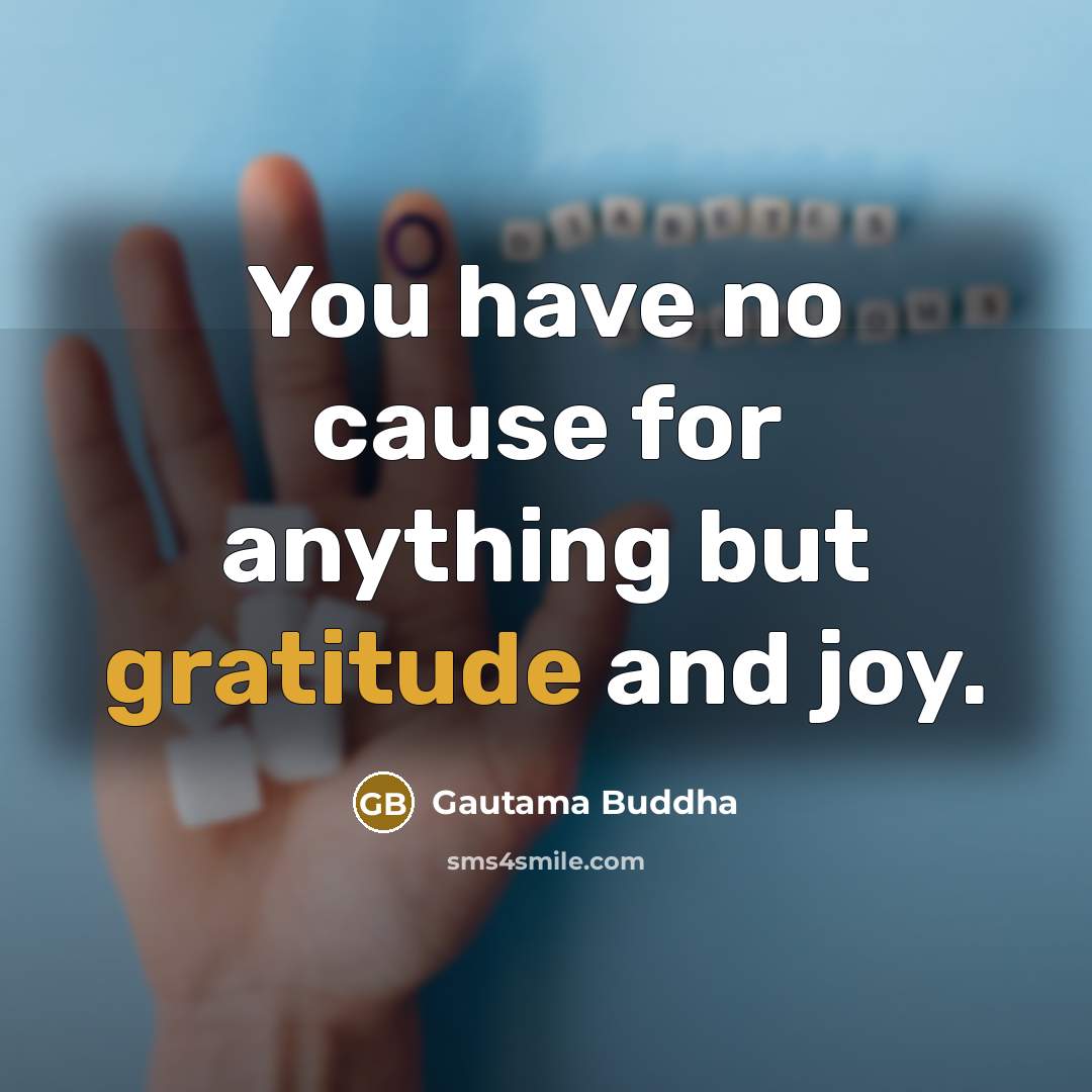 “You have no cause for anything but gratitude and joy.…” quote by Gautama Buddha