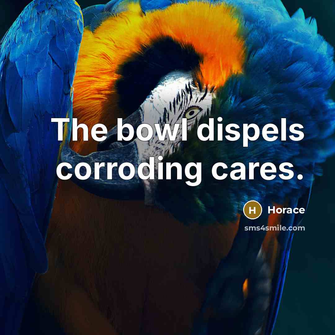 “The bowl dispels corroding cares.…” quote by Horace