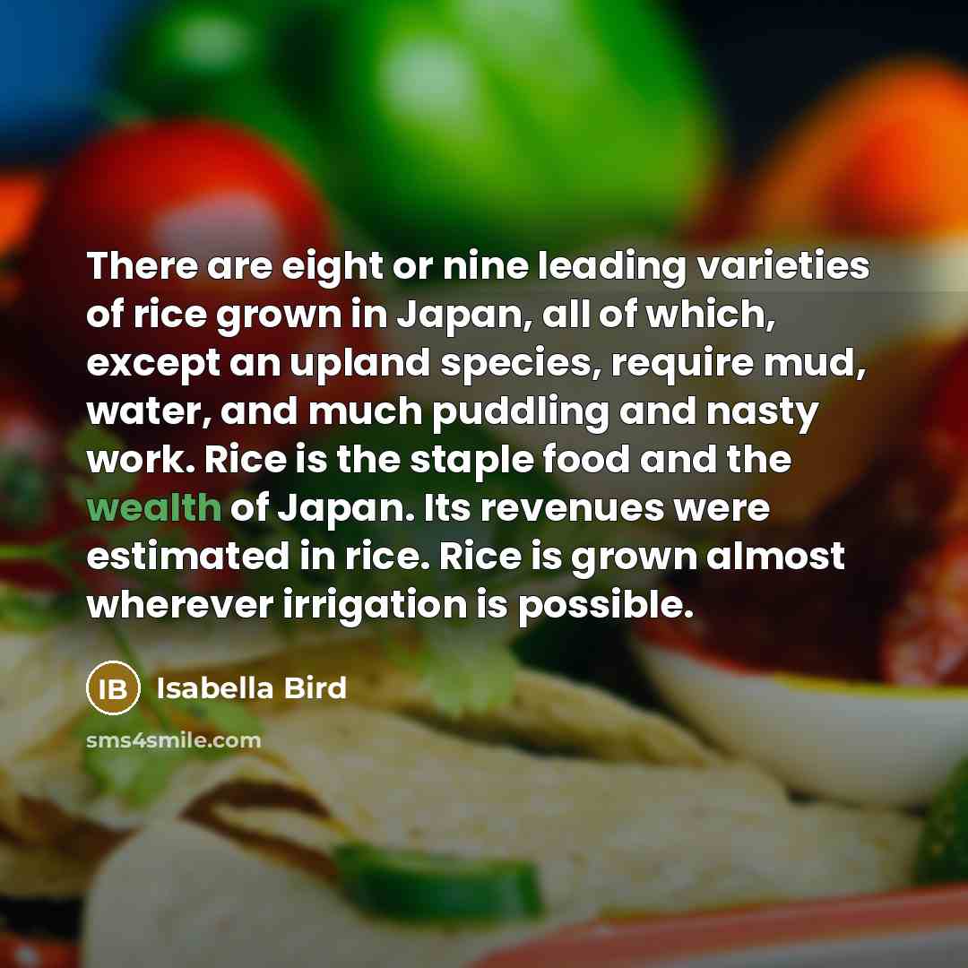 “There are eight or nine leading varieties of rice grown…” quote by Isabella Bird
