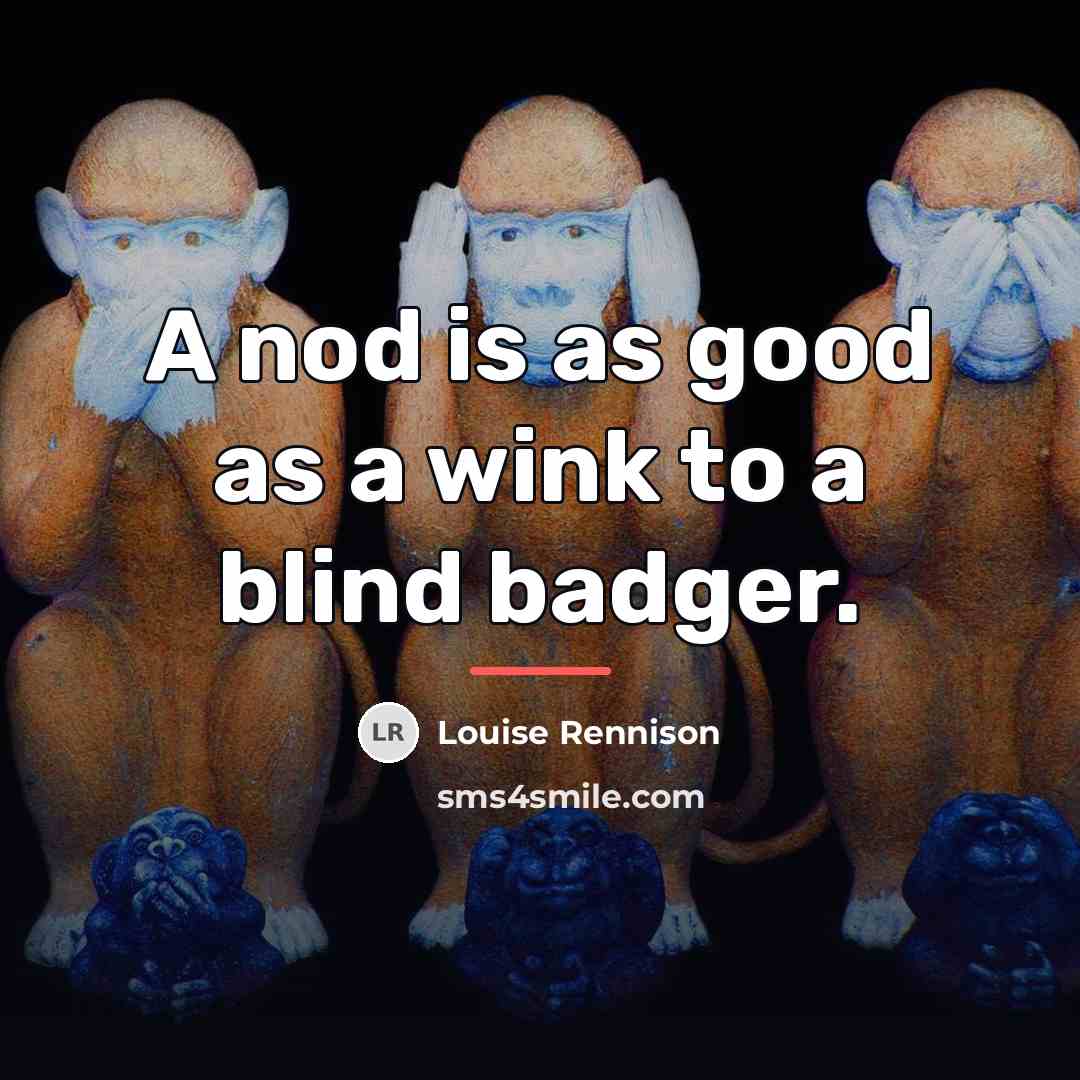 “A nod is as good as a wink to a…” quote by Louise Rennison