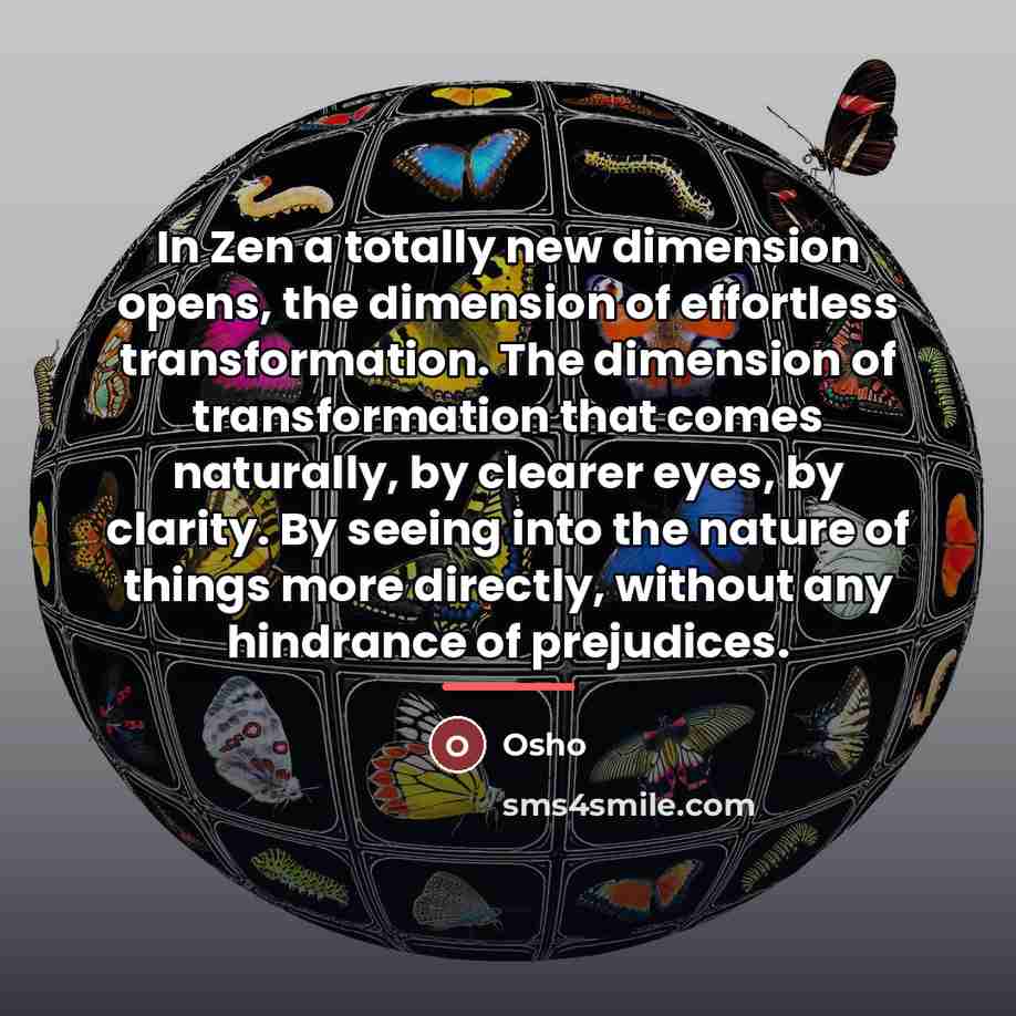 “In Zen a totally new dimension opens, the dimension of…” quote by OSHO