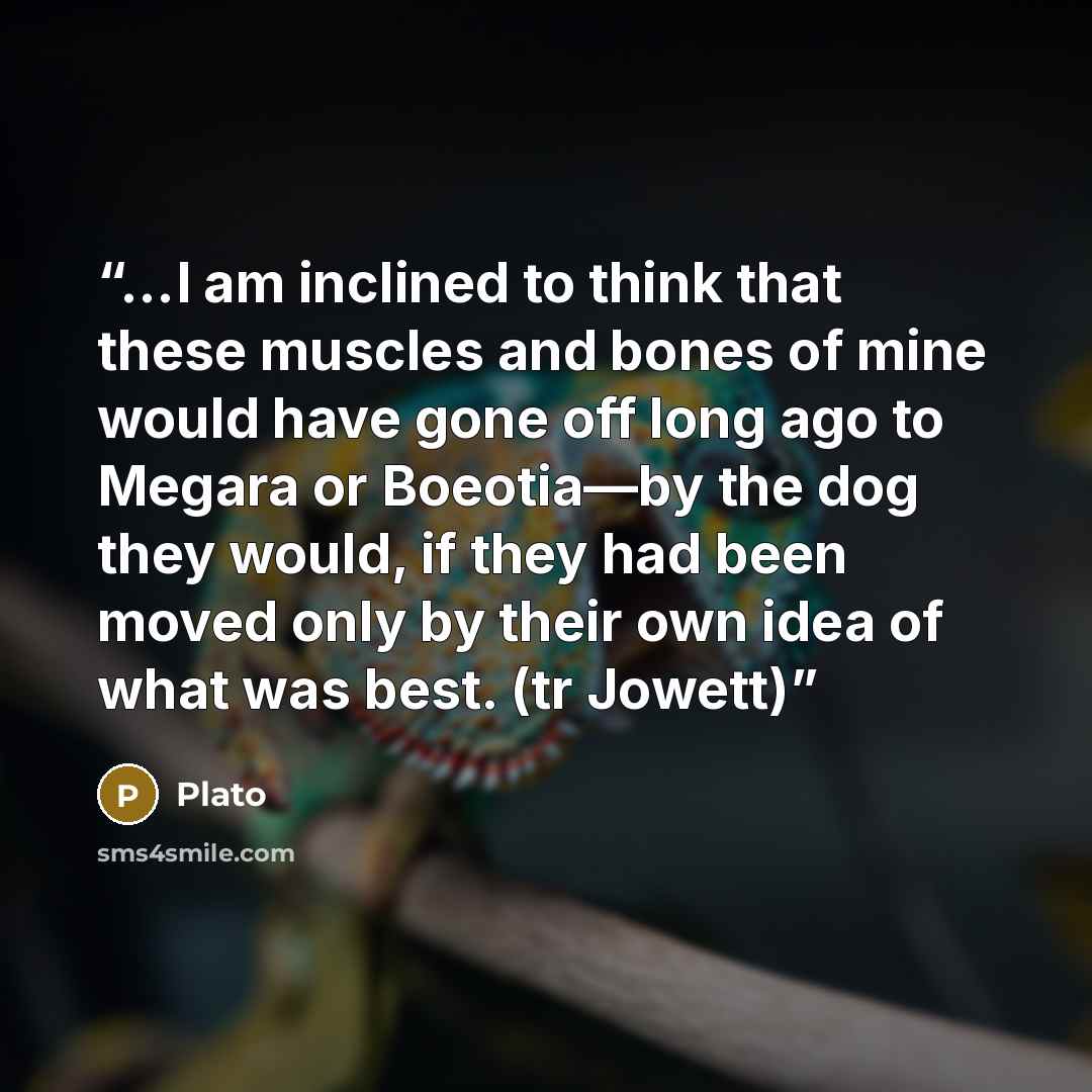 “…I am inclined to think that these muscles and bones of mine would have gone off long ago to Megara or Boeotia—by the dog they would, if they had been moved only by their own idea of what was best. (tr Jowett)” quote by Plato