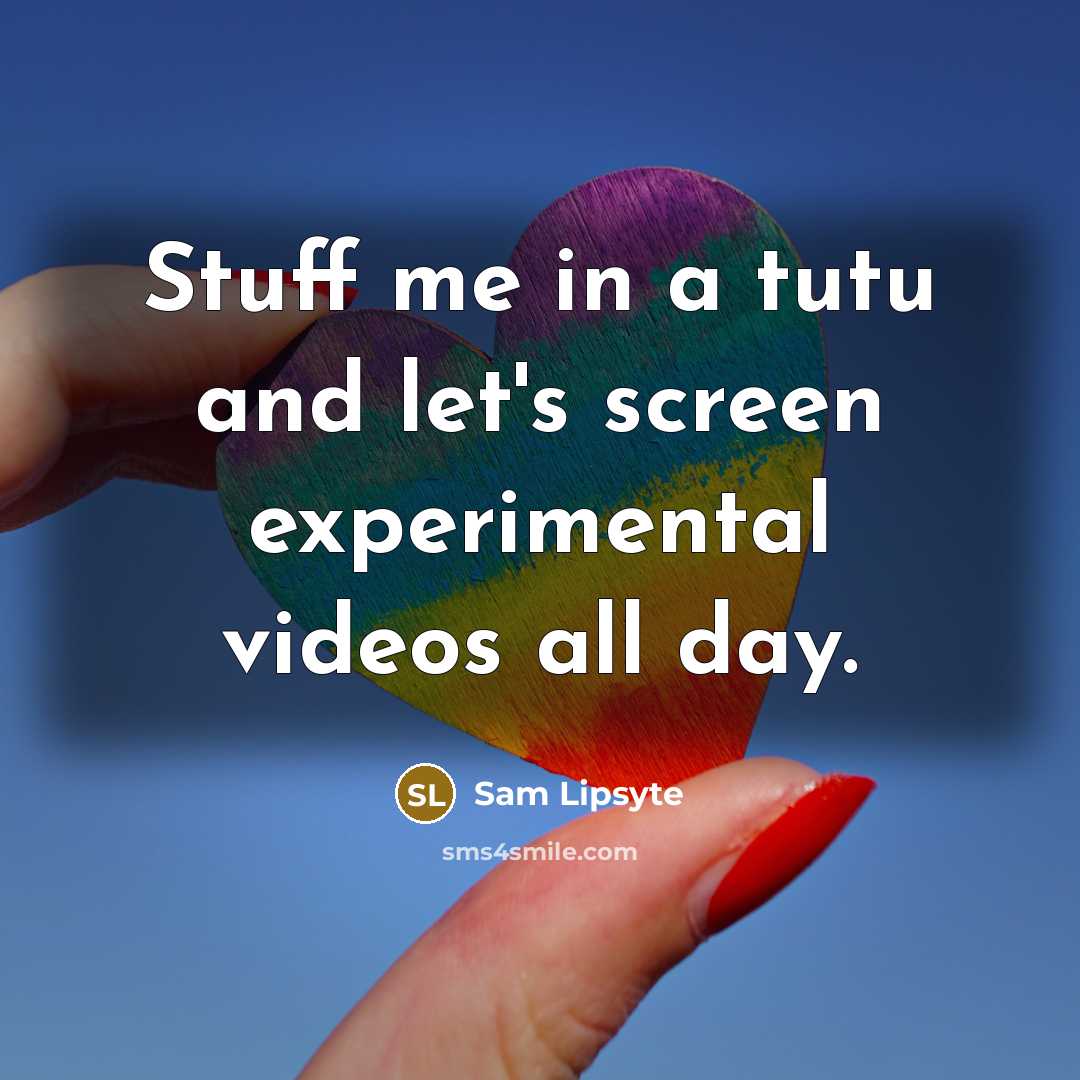 “Stuff me in a tutu and let's screen experimental videos…” quote by Sam Lipsyte