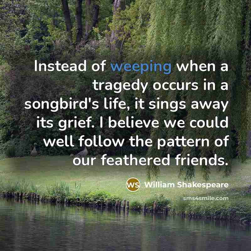 “Instead of weeping when a tragedy occurs in a songbird's…” quote by William Shakespeare