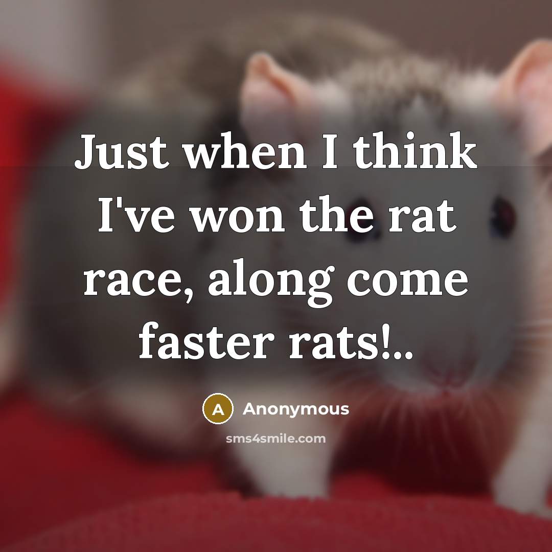 “Just when I think I've won the rat race, along…” quote by Anonymous
