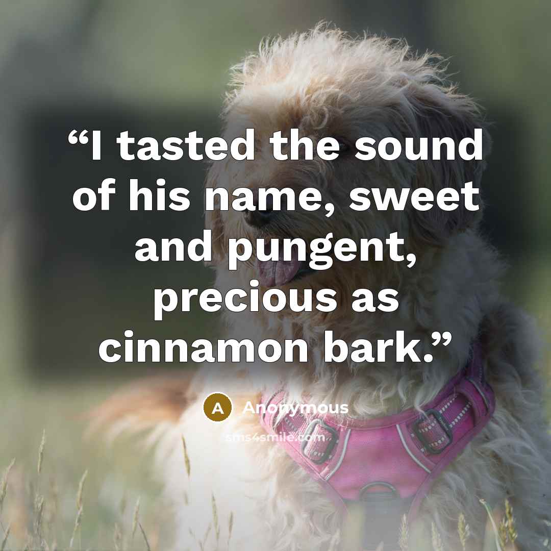 “I tasted the sound of his name, sweet and pungent, precious as cinnamon bark.” quote by Anonymous