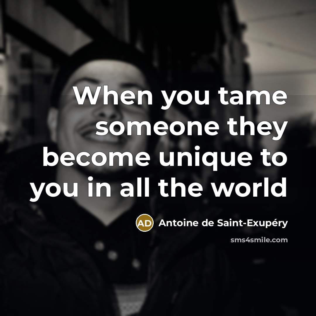“When you tame someone they become unique to you in…” quote by Antoine de Saint-Exupery