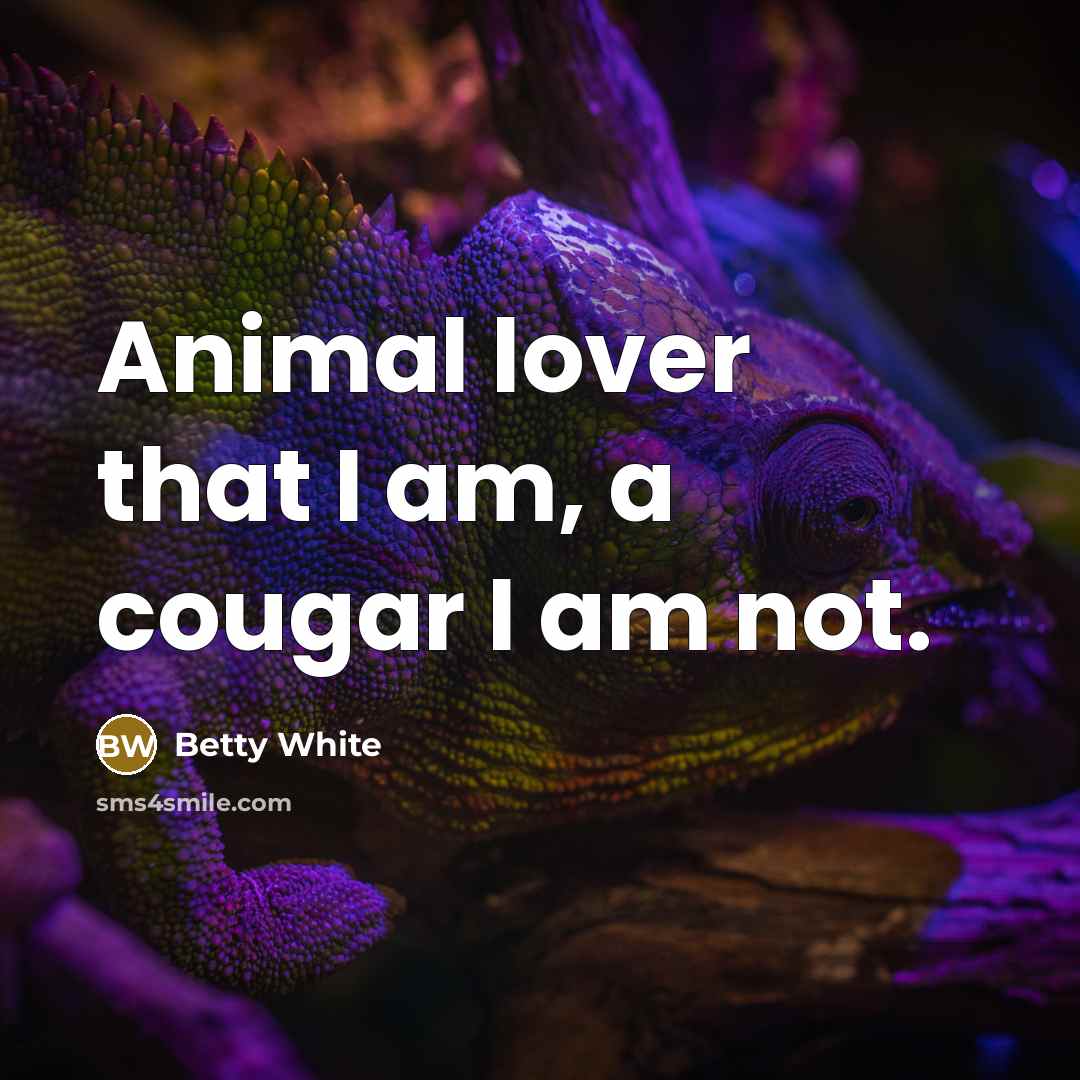 “Animal lover that I am, a cougar I am not.…” quote by Betty White