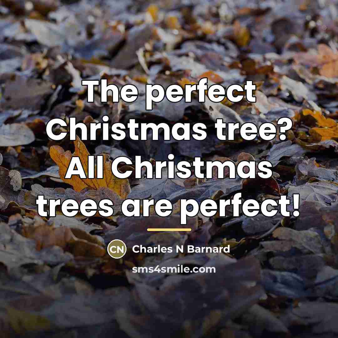 “The perfect Christmas tree? All Christmas trees are perfect!…” quote by Charles N. Barnard