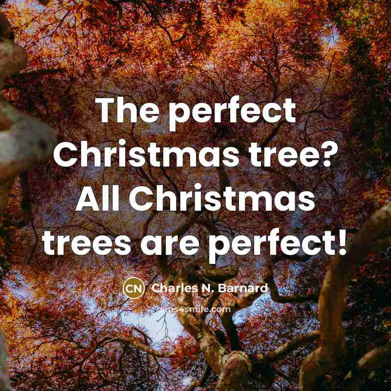 “The perfect Christmas tree? All Christmas trees are perfect!” quote by Charles N. Barnard