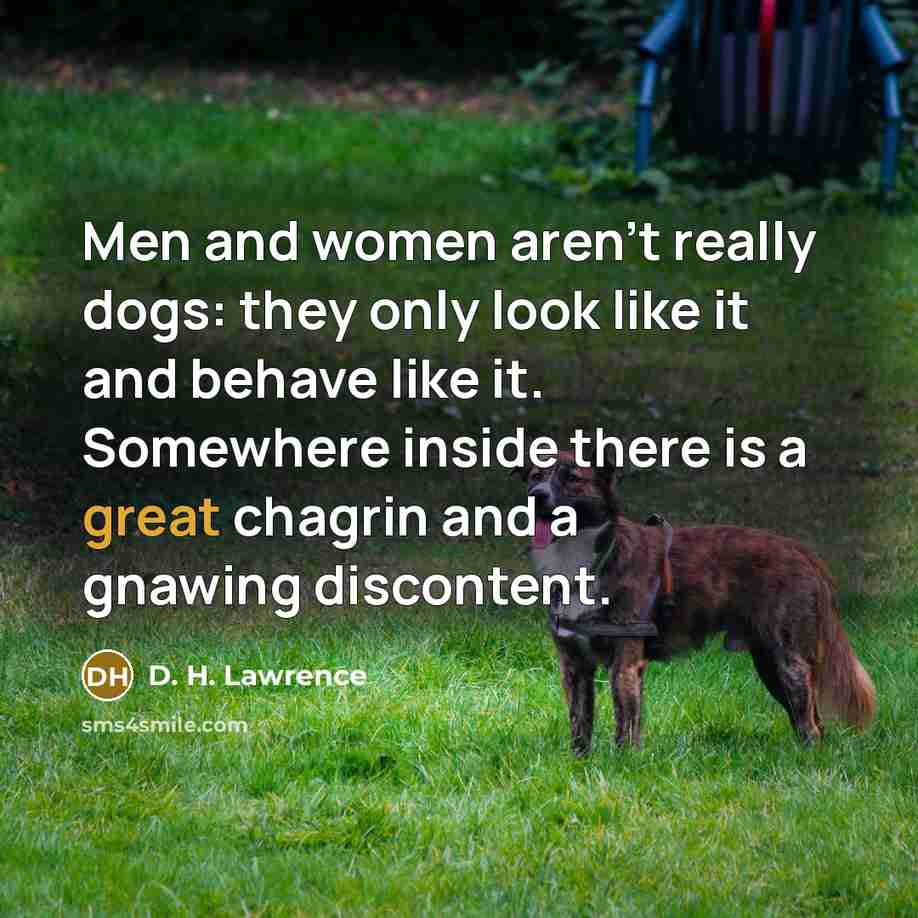 “Men and women aren't really dogs: they only look like…” quote by D. H. Lawrence