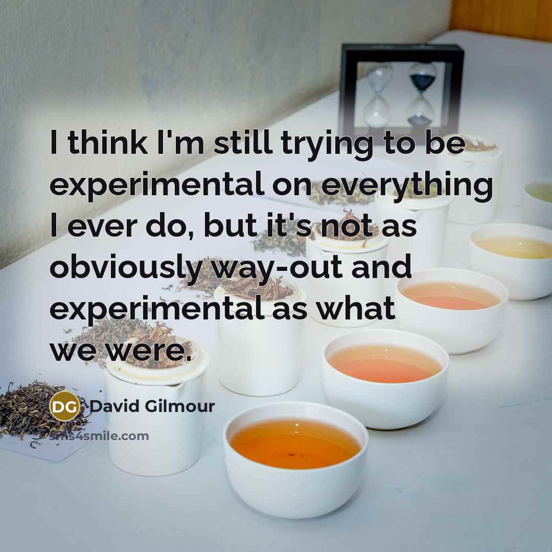 “I think I'm still trying to be experimental on everything…” quote by David Gilmour