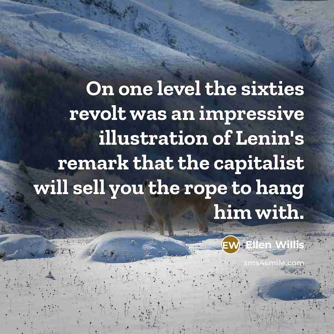 “On one level the sixties revolt was an impressive illustration…” quote by Ellen Willis