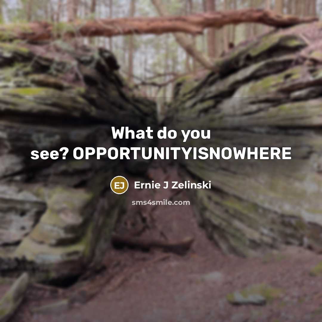 “What do you see? OPPORTUNITYISNOWHERE…” quote by Ernie J Zelinski